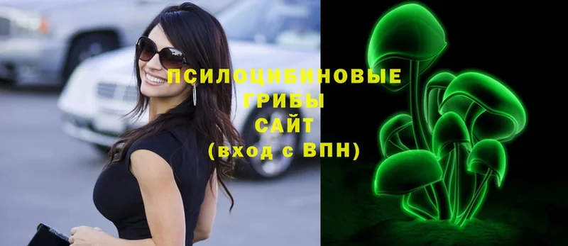 сколько стоит  Мензелинск  Псилоцибиновые грибы Psilocybine cubensis 